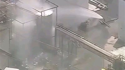 لمحة نيوز