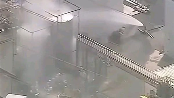 لمحة نيوز