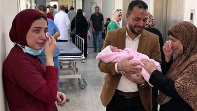 المشرد